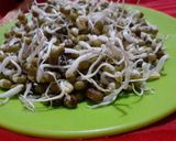 ફણગાવેલા મગ (Sprouted Moong Recipe In Gujarati) રેસીપી સ્ટેપ1ફોટો