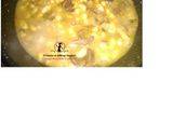 Foto del paso 3 de la receta: Judías con setas variadas