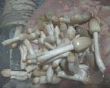 รูปขั้นตอนการทำที่ 2 ของ ต้มยำไก่