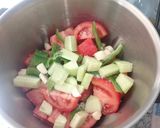 Foto del paso 1 de la receta: Gazpacho andaluz (Mambo Touch)