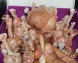 Foto langkah ke 1 dari resep Chicken wings Drumstik.