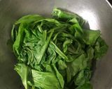પાલક ફુદીના સેવ (Palak Pudina Sev Recipe In Gujarati) રેસીપી સ્ટેપ1ફોટો