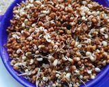 A picture of step 1 of Sprouted math masala.