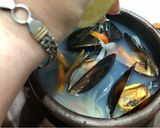 Foto del paso 3 de la receta: Caldillo de mejillones