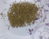 A picture of step 1 of Refreshing Fennel Mint Lemonade.