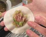 A picture of step 4 of Homemade pork and cabbage dumpling 🥟.