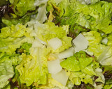 Foto del paso 1 de la receta: Ensalada de langostinos y hojas de roble