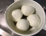 Une image de l'étape 8 de Tomates à l'oignon rouge, basilic et mozzarella.