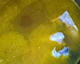 Foto del paso 3 de la receta: Filetes de emperador en salsa