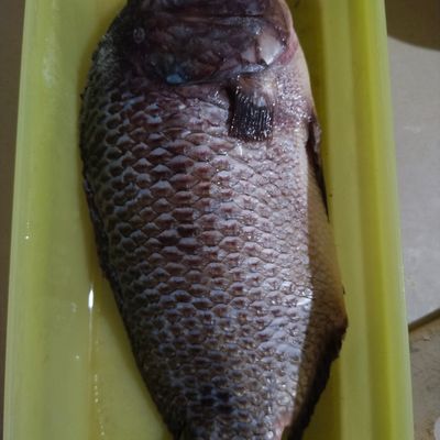 Langkah 1