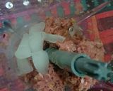 Foto langkah ke 3 dari resep Bakso Daging Sapi.