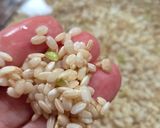 Foto del paso 1 de la receta: Croquetas de arroz yamaní orgánico con vegetales de estación y sin gluten 🍚