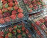 Foto langkah ke 1 dari resep Pudding Agar Strawberry In Jar (Agar² Stroberi dalam Stoples).