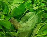 Hình bước làm 2 của món Canh rau tầm bóp nấu móng giò