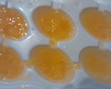 Foto del paso 5 de la receta: Gelatina de mandarina natural con naranja