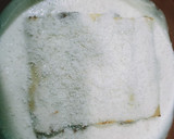 Foto del paso 10 de la receta: Canelones de mi madre