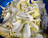 Foto langkah ke 1 dari resep Kimci Daun Bawang dan Sawi Putih.