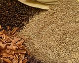 A picture of step 1 of Coriander Powder.