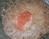 A picture of step 3 of Masoor dal.