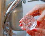 A picture of step 6 of How to make crystal clear ice with rose shape, round or any shapes!.