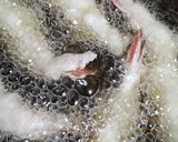 A picture of step 2 of Crispy Tempura Batter Like at a Japanese Restaurant (Single Use).