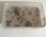 A picture of step 6 of Chocolate chip ice cream.
