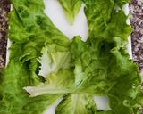 Foto del paso 5 de la receta: Pionono agridulce decorado