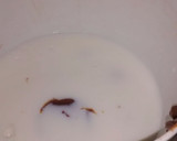 Foto del paso 2 de la receta: Flan de dulce de leche
