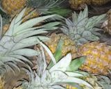 Foto langkah ke 1 dari resep Selai Nanas 🍍🍍.