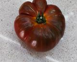 Foto del paso 1 de la receta El mejor sazonador del tomate