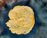 A picture of step 3 of Uttapam made of rava / sooji.