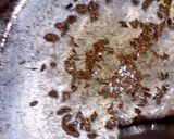 A picture of step 3 of Khaatty Aloo Ki Chat.