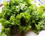 Foto del paso 1 de la receta: Ensalada de rabanitos, hongos, palta, lechuga y tomate