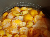 شربت زردآلو (شربت بهشتی)