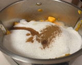 Foto del paso 2 de la receta: Mermelada de calabaza en Thermomix