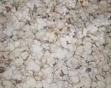 Popcorn gurguzomatakin girki1 hoto