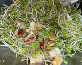 Foto langkah ke 3 dari resep Oseng toge mix tahu.