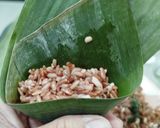 Foto langkah ke 5 dari resep Lupis Ketan Merah.