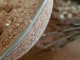 Chewy Brownies