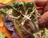 A picture of step 6 of Lettuce Wrap.
