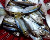 รูปขั้นตอนการทำที่ 1 ของ วิธีทำปลาหวาน