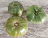 Foto del paso 1 de la receta: Tomates verdes fritos