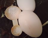 A picture of step 1 of Half fry egg.