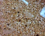 Foto del paso 1 de la receta: Pan de grano de trigo sarraceno larga fermentación, sin harina, sin levadura, en molde de silicona