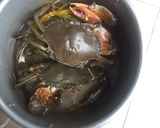Hình bước làm 1 của món Cua hấp gừng 🦀🦀🦀