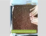 Foto del paso 4 de la receta: Barritas de chocolate con aceite esencial l Recetas arcoíris