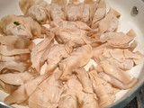 Chicken and Veggie GYOZA