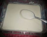Foto langkah ke 4 dari resep Yogurt Homemade.