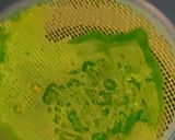 Foto langkah ke 2 dari resep Matcha Latte.