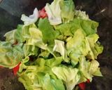 Foto langkah ke 6 dari resep Fresh Salad.